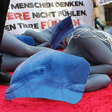Foto-Galerie: Demo gegen die Delfinjagd!